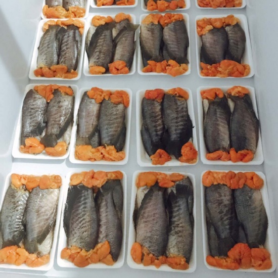 Cá sặc trứng 1 nắng thượng hạng